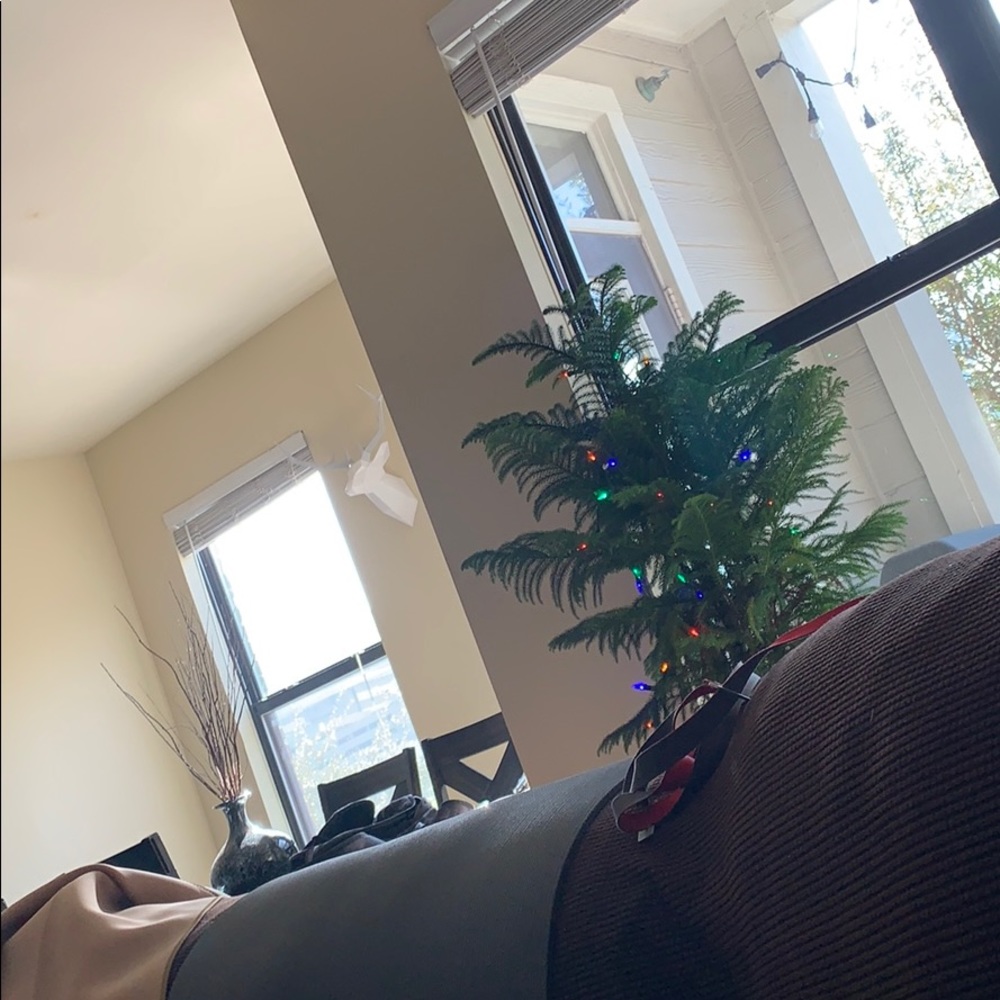 Meet your Posher, Russell